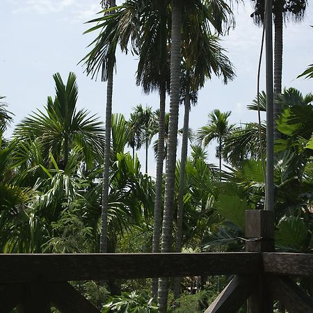 Lila Homestay ฮอยอัน ภายนอก รูปภาพ