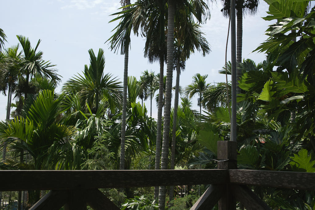 Lila Homestay ฮอยอัน ภายนอก รูปภาพ